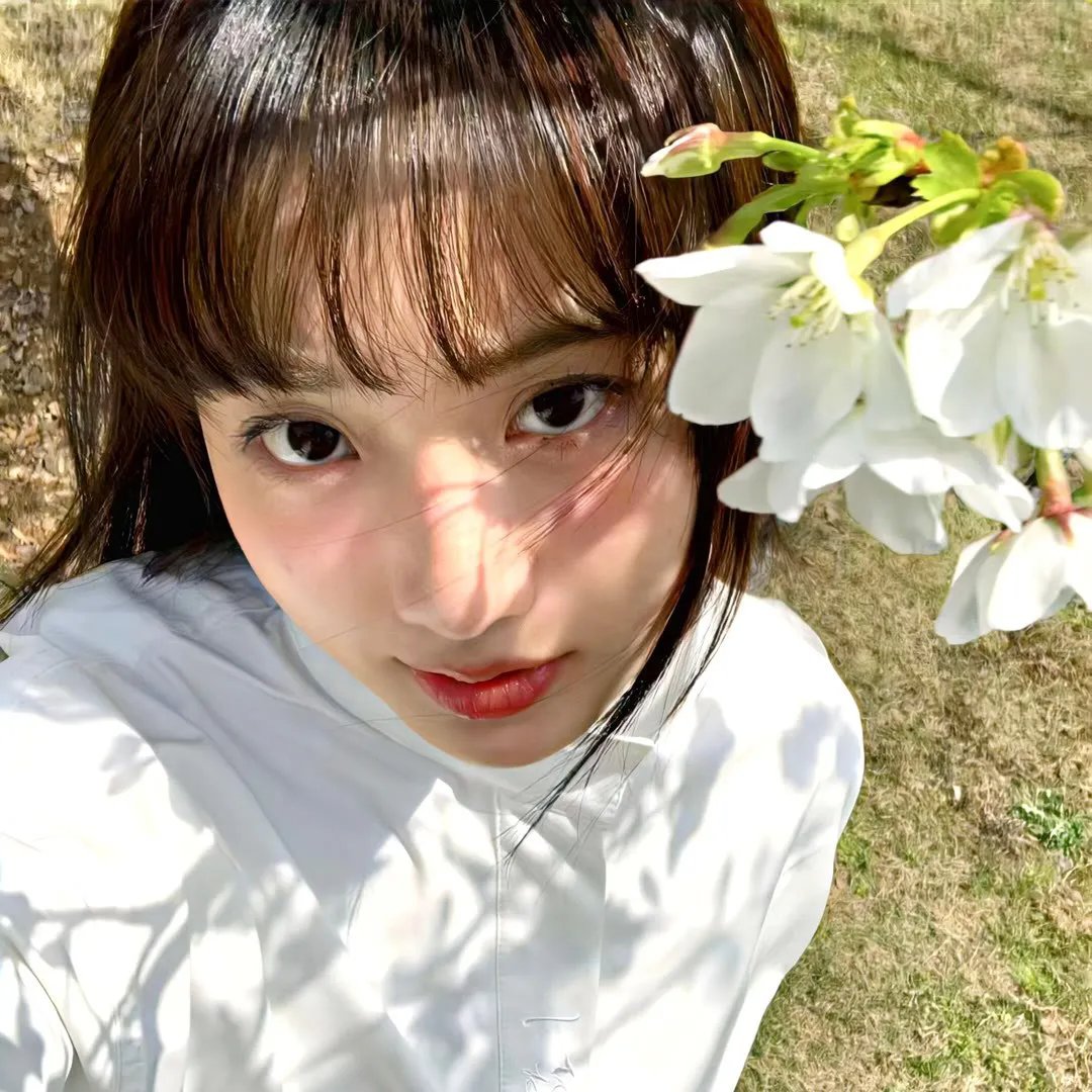 飞箭