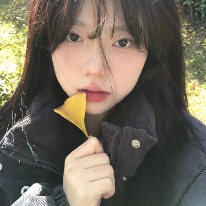 狐妖小红娘