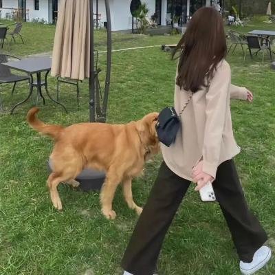 足球教练第三季